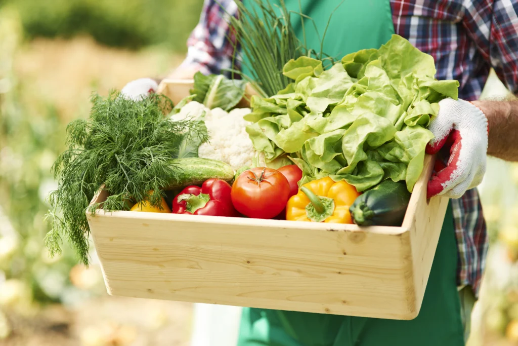 close-up-box-with-vegetables-hands-mature-man