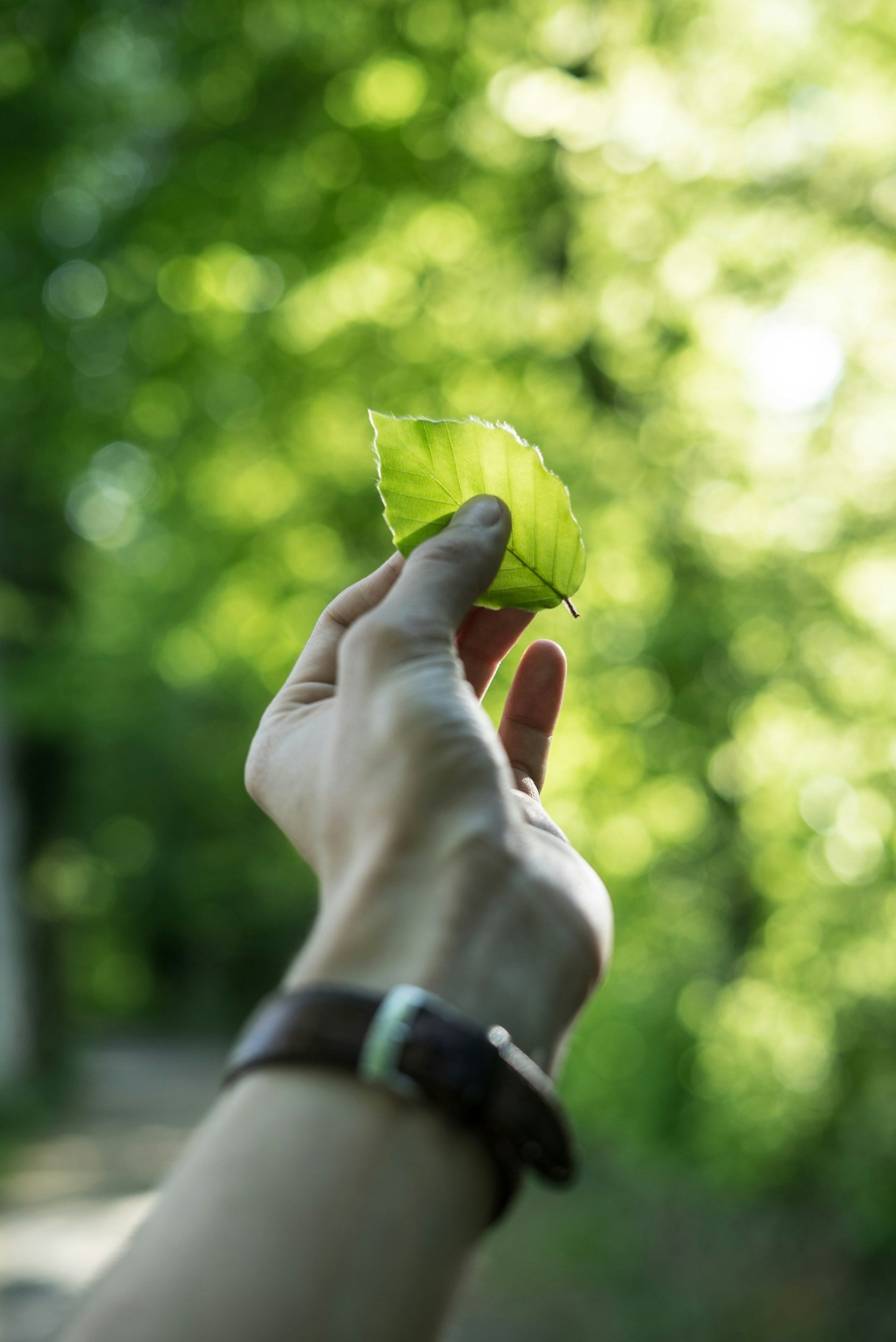 Tips for Achieving an Eco-Conscious Mindset